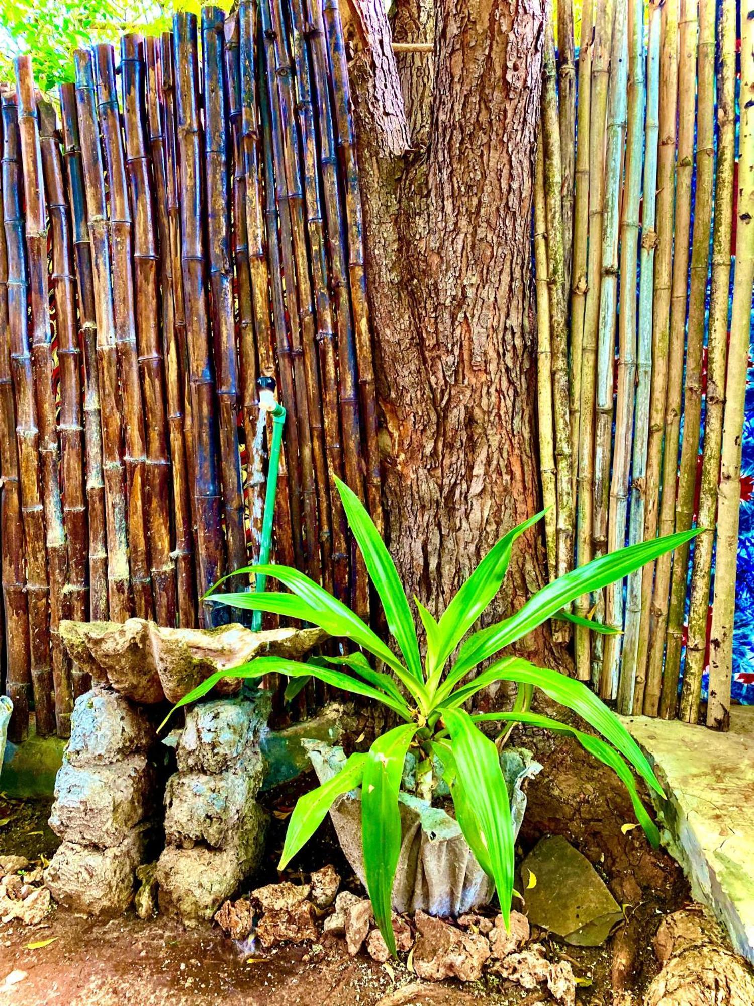 African Hut Tiny Cottage Diani Beach Exterior photo